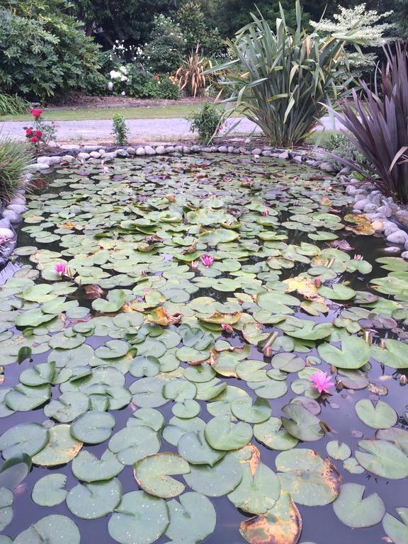 クライストチャーチ Water Lily Garden Bed & Breakfast エクステリア 写真